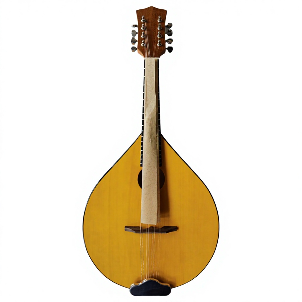 Mandolin A Style - Banjo Akustik 8 Senar, Bagian Belakang