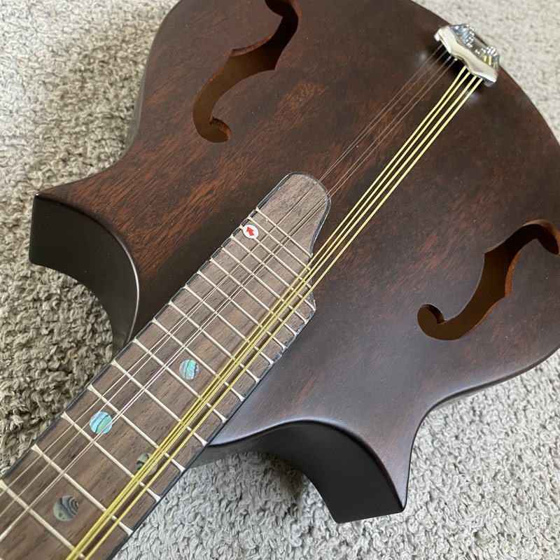 K595 Morgan Monroe Mandolin Ka - Mandolin A Style ulasan dan harga
